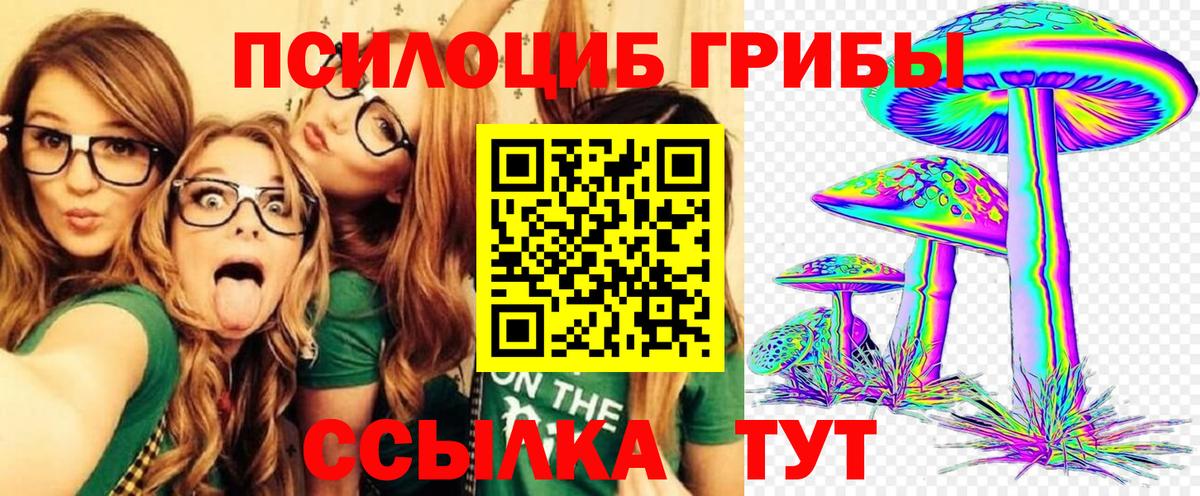 Псилоцибиновые грибы прущие грибы  Вход с VPN  где найти   Псилоцибиновые грибы Magic Shrooms  Набережные Челны 